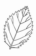 Image result for Pot Leaf Drawing Facing Left