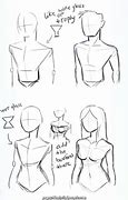 Image result for Anime Drawing Proportions