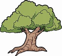 Image result for Tree Drawing No Background