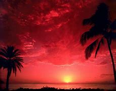 Image result for High Contrast Sunset