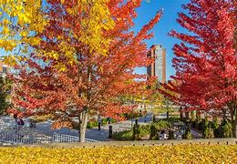 Image result for Fall Foliage Deerfield Massachusetts