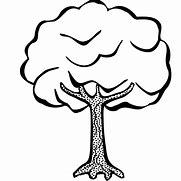 Image result for Tree Types Line Art