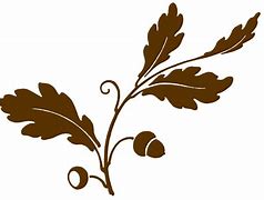 Image result for Oak Leaf Design