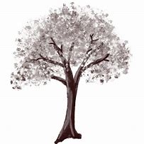 Image result for Japanese Cherry Blossom Tree Vector