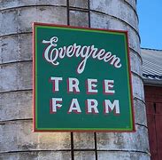 Image result for Tree Farm Clip Art