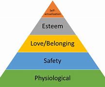 Image result for Modern Human Hierarchy Work-Class