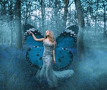 Image result for Blue Fairy Forest