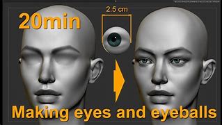 Image result for Eye Proportions