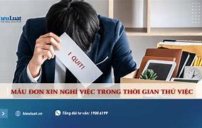 Image result for Hinh to Mau Don Gian