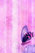 Image result for Framed Butterfly Wall Art Set