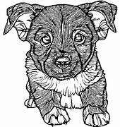 Image result for Fluffy Puppy Coloring Page