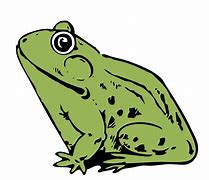 Image result for Frog Smokingprintable Coloring Pages Weed