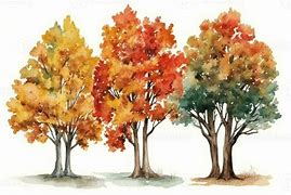 Image result for Watercolor Maple Tree with Leaf