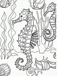 Image result for Sea Life Coloring Pages