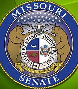 Image result for Missouri Senate Map