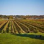 Image result for Fall in CT