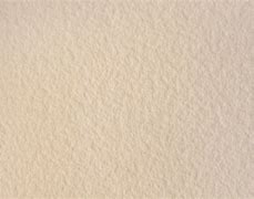 Image result for Blank Beige Background