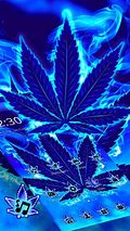 Image result for Blue Lettuce Weed