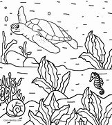 Image result for Kids Coloring Nature