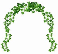 Image result for Vine Clip Art Free No Background