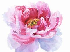 Image result for Watercolor Peonies Images Easy