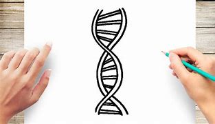 Image result for dna art drawing