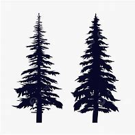 Image result for Pine Tree Silhouyette