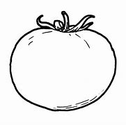 Image result for Tomato Sketch