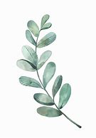 Image result for Simple Green Leaf Watercolor