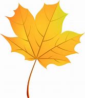 Image result for Fall Leaves Vector Free