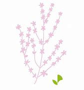 Image result for Cherry Blossom Tree Branch Tattoo