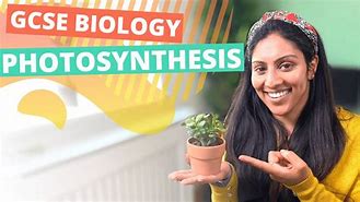 Image result for Photosynthesis Process for Kids