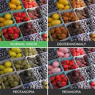 Image result for Protanopia Color Palette