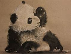 Image result for Drawing of a Panda