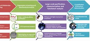 Image result for Protein Crystallization