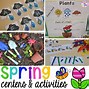 Image result for First Grade Plant Life Cycle