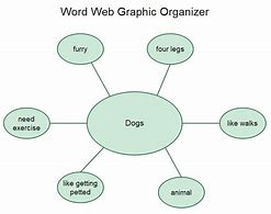 Image result for Graphic Organizer Web Diagram