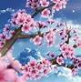 Image result for Sakura Wall