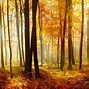 Image result for Japan Autumn Season Wallpaper