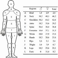 Image result for Human Body Diagram Outline Pain