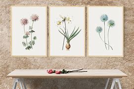 Image result for Botanical Wall Art Decor