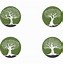 Image result for Olive Branch Vector