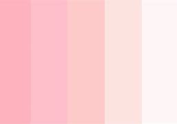 Image result for Dusty Rose Color Palette