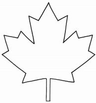 Image result for Toronto Maple Leafs Outline