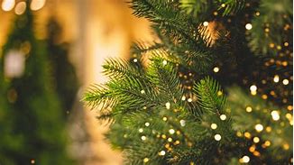 Image result for All-Black Chrismas Tree