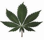 Image result for Animated Weed Leaf