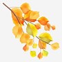 Image result for Tree Branch Vector Art