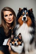 Image result for Sheltie Dog Clip Art