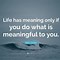 Image result for Famous Quotes About the Meaning of Life