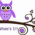 Image result for Owl On a Branch Adobe Stock